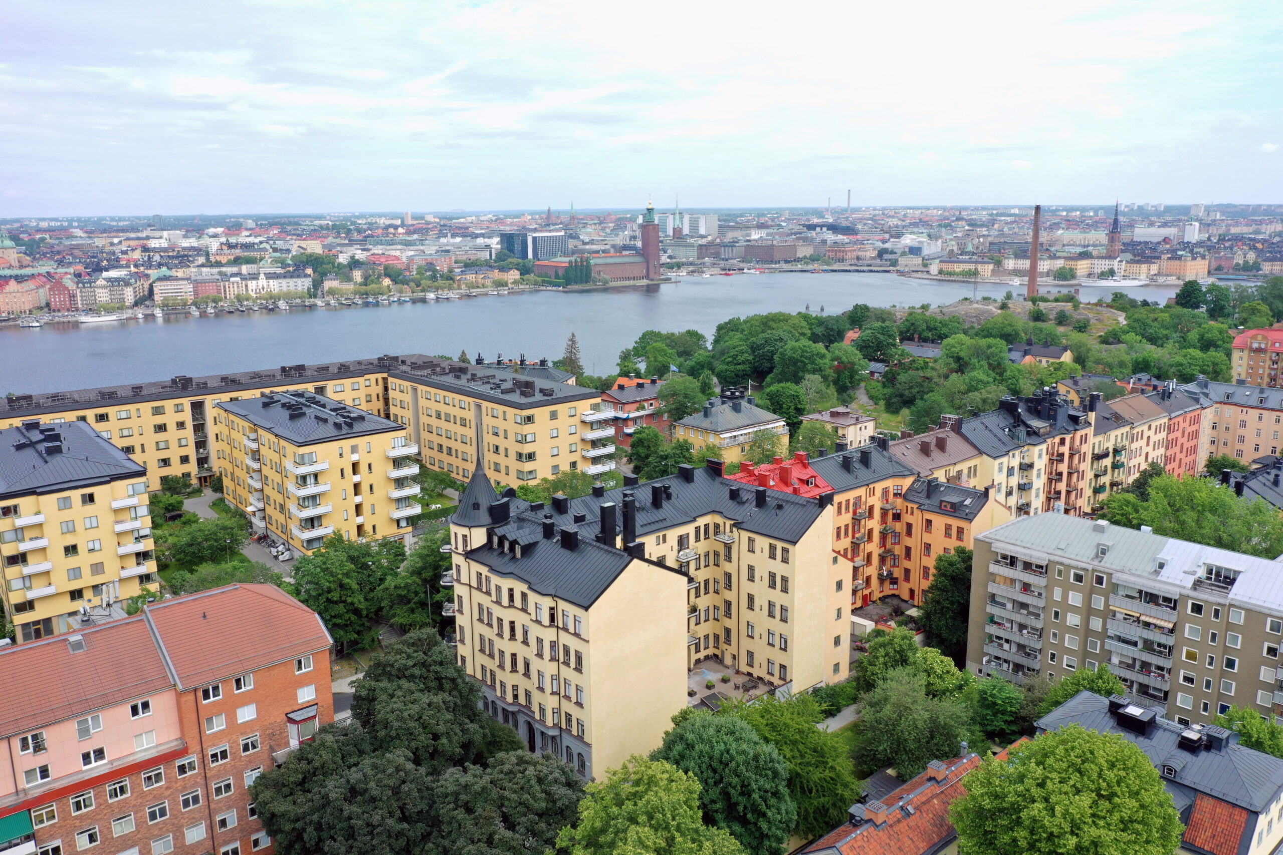 Företag & offentlig verksamhet